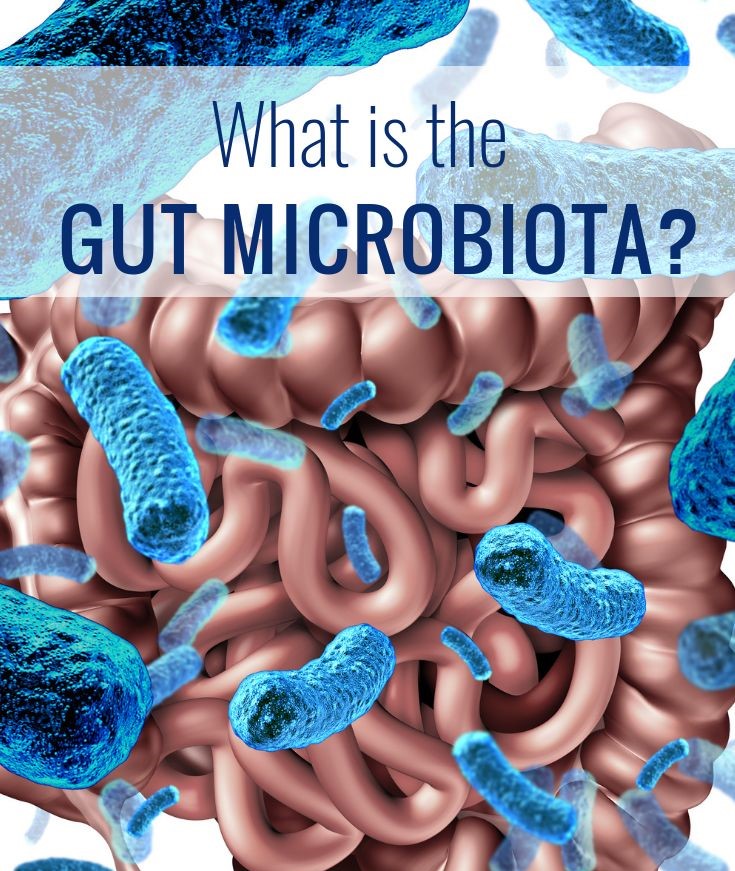 The Microbiome