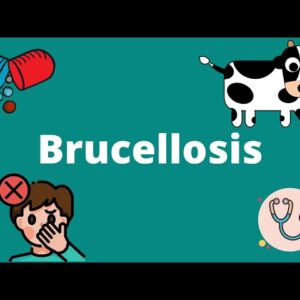 Brucellosis Disease