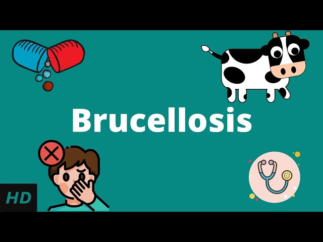 Brucellosis Disease