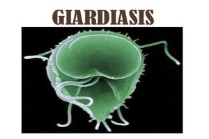 Giardiasis Disease