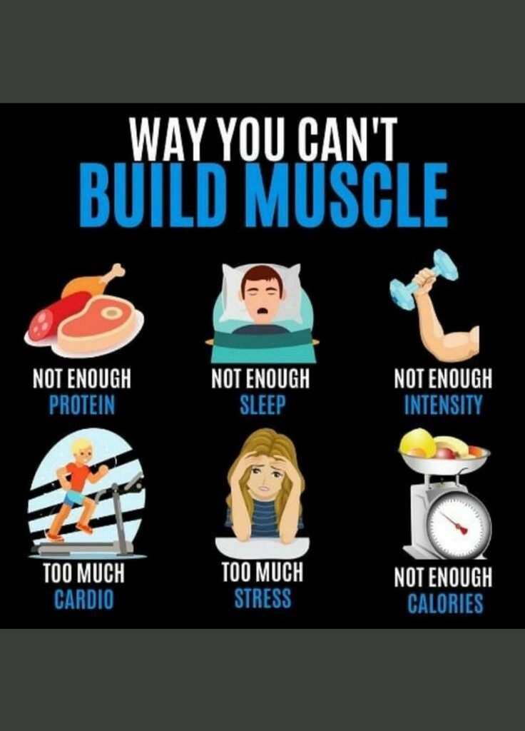 build-muscle